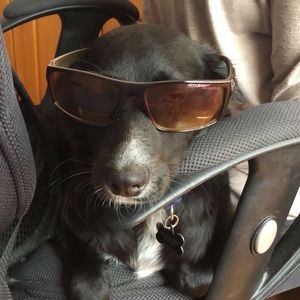 Meet your Posher, Simran